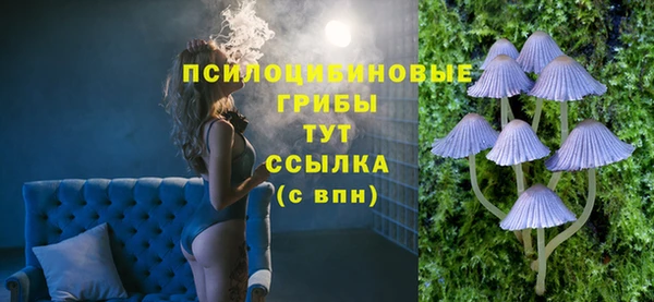 винт Медвежьегорск