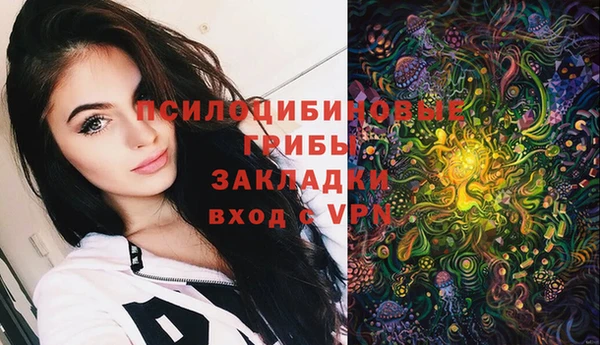 мяу мяу мука Медногорск